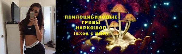 индика Бронницы